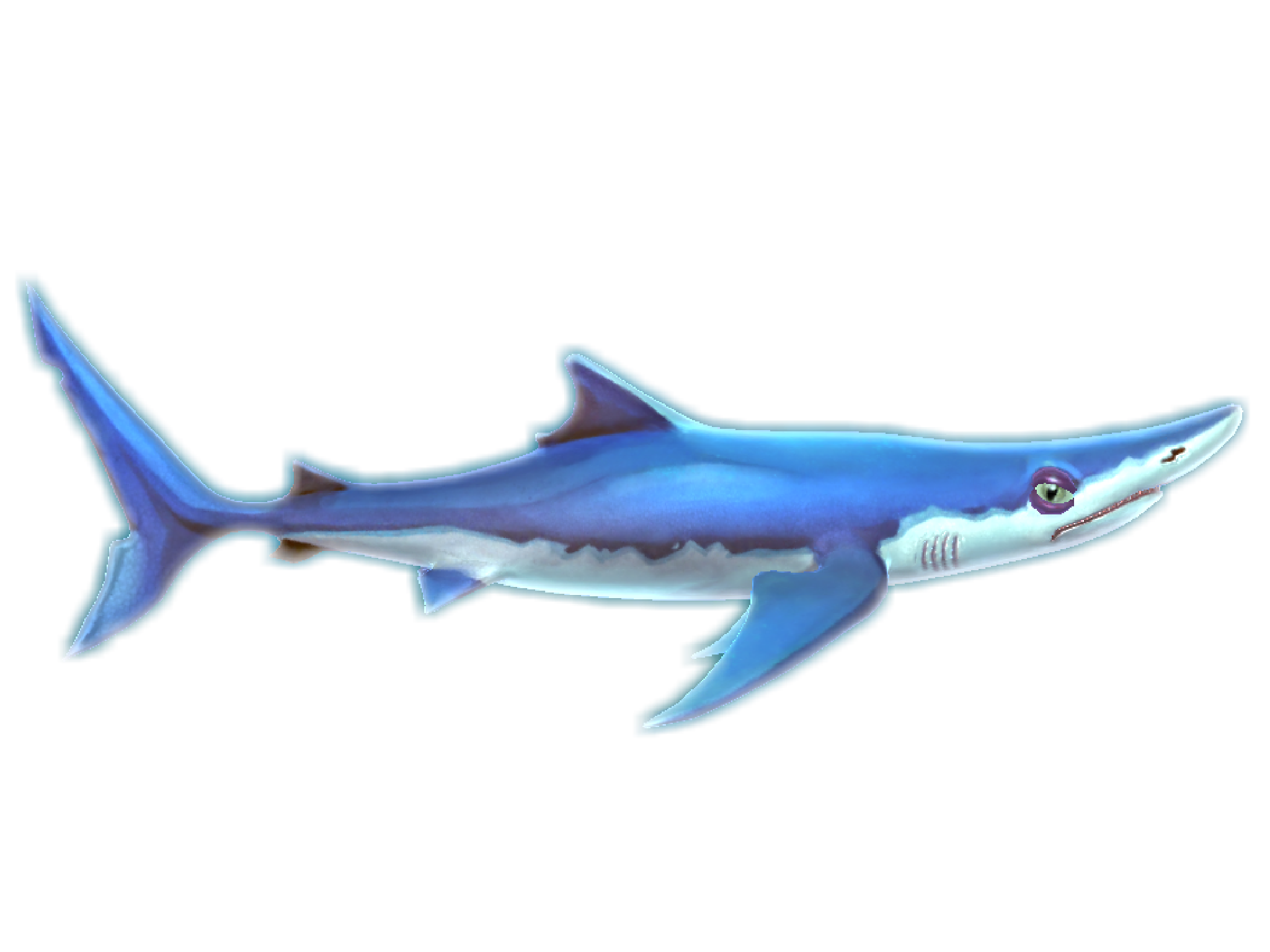 Shark! Shark! - Wikipedia