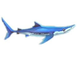 Bull Shark, Hungry Shark Wiki