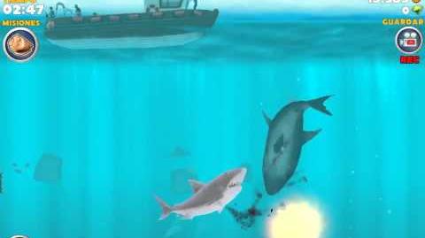 hungry shark evolution enemy megalodon location