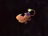 Anglerfish