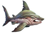 Megalodon