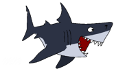 Drawing of Bull shark