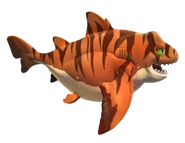 Zebra Bullhead Shark