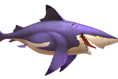 Hungry Shark VR