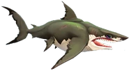 Megalodon