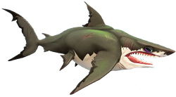 Megalodon Hsw Hungry Shark Wiki Fandom