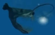 An Anglerfish in Hungry Shark Trilogy