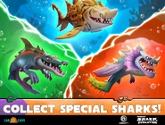 Shar-khan featured together with Aaron and Lord Snappy on a promotional image made by LabCave for Hungry Shark Evolution.