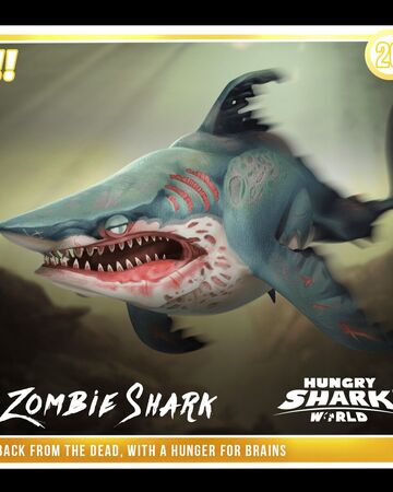 zombie shark  hungry shark wiki  fandom