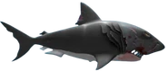No background