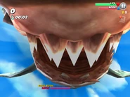 The Mako Shark's mouth