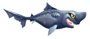Ninja Lanternshark
