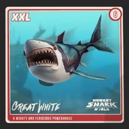 Great White Shark