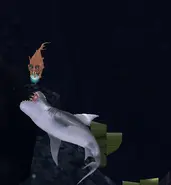 Older look of angler fish, also, 1 Vs Tiger Shark.