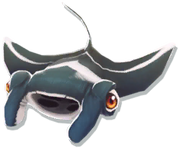 Baby Mantaray Reef 2024