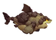 Rock Shark