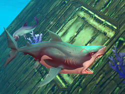 Kempy's Fortress, Hungry Shark Wiki