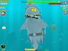 The Bottle compared to the Megalodon