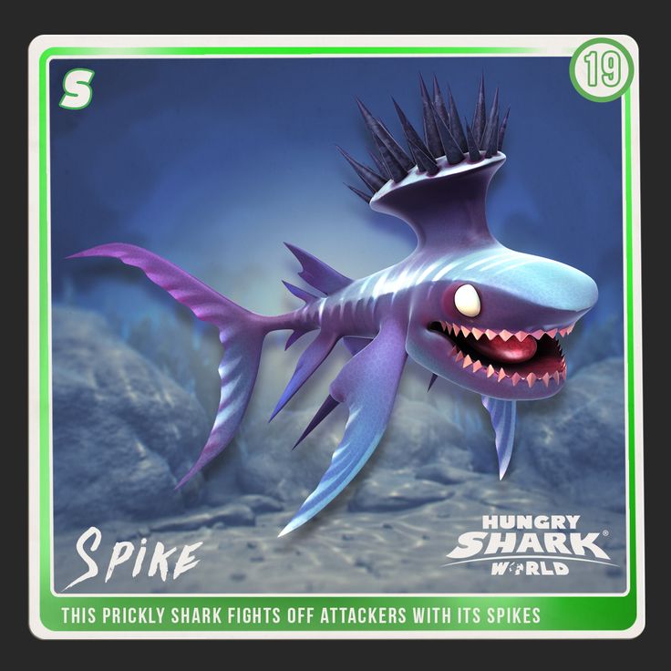 spike stethacanthus  hungry shark wiki  fandom