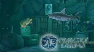 Tiger Shark next to a Kempy Bass