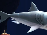 Enemy Megalodon