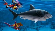 Baby Pirate with Megalodon and Mariachi Baby.