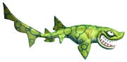 Chain catshark 