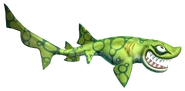 Chain Catshark