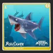 Bull Shark