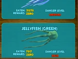 Jellyfish