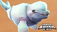 Anna, a Beluga Whale pet that gives you more health.