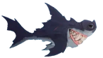 Scalloped Hammerhead