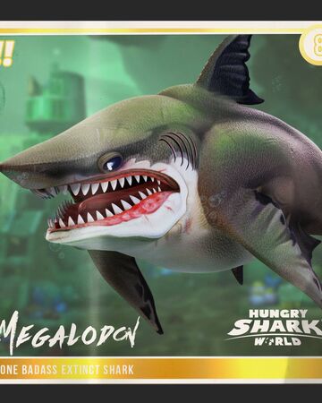 megalodon hsw  hungry shark wiki  fandom