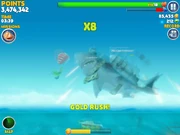 A parasailer eaten during a gold rush