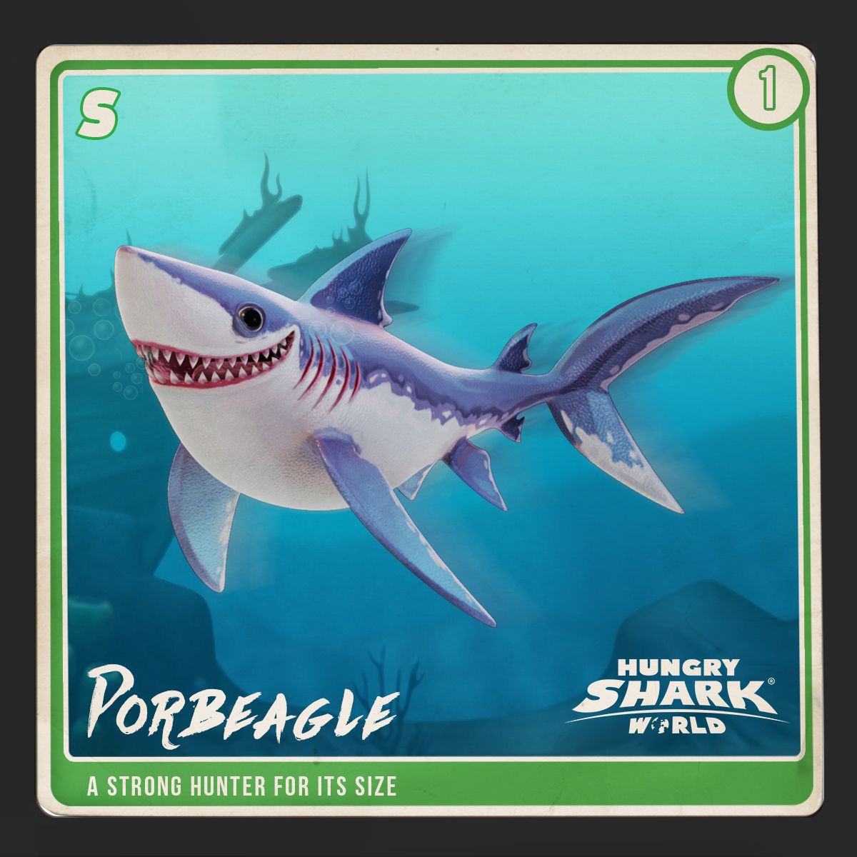 porbeagle shark vs mako