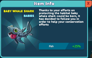 Baby Whale Shark's infocard.