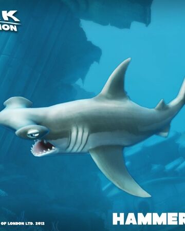 hammerhead shark hungry shark wiki