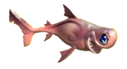Kitefin Shark