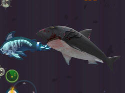 hungry shark evolution enemy megalodon location