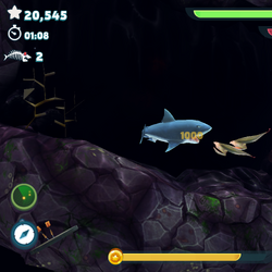 Great White Hungry Shark Evolution Shell Map