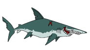 Drawing of Mako shark