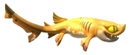 Brown Catshark