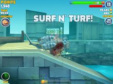 SurfnTurf.jpg