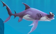 Smooth Hammerhead