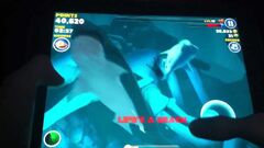 hungry shark evolution enemy megalodon location