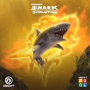 Tiger shark's evolution.