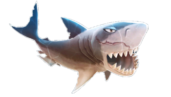 Megalodon Shark