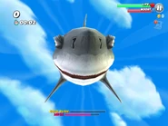 The Bull Shark falling out of the sky