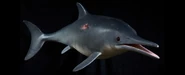 Ichthyosaur
