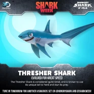 Thresher Week.jpg (133 KB)